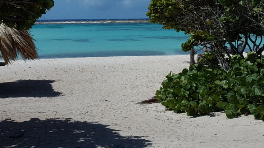 Aruba