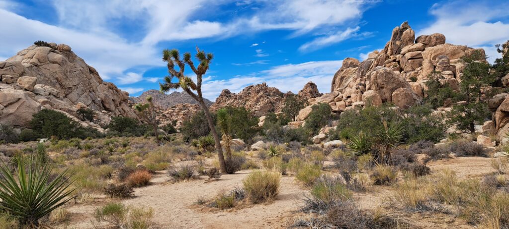 Hike Hidden Valley Nature Trail
JOSHUA TREE NATIONAL PARK